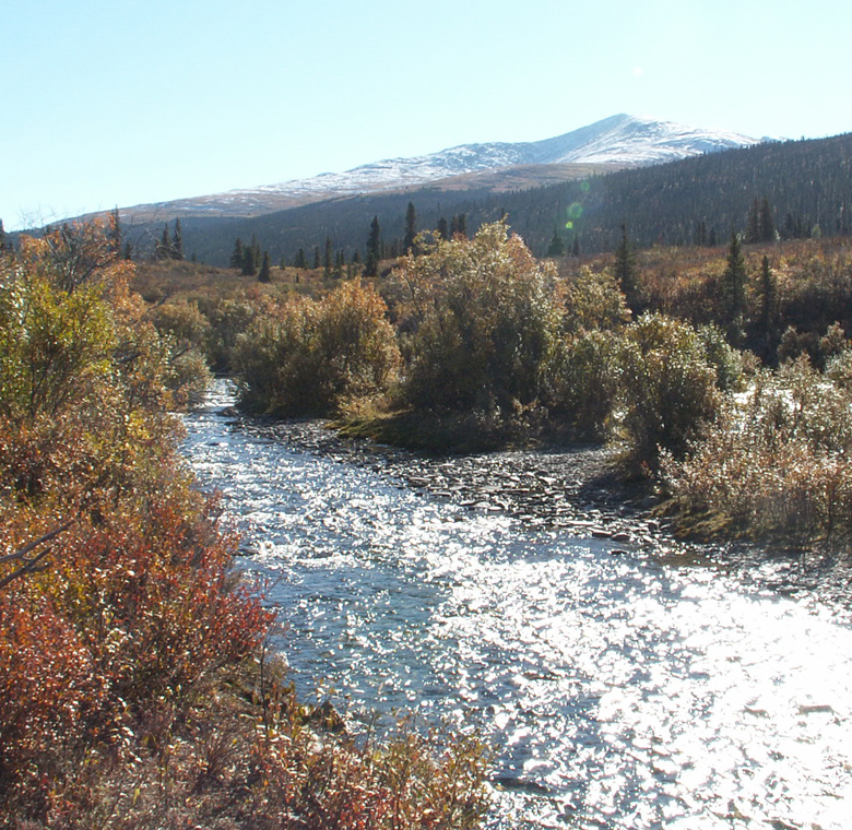 Northern Adventures Hunting Club