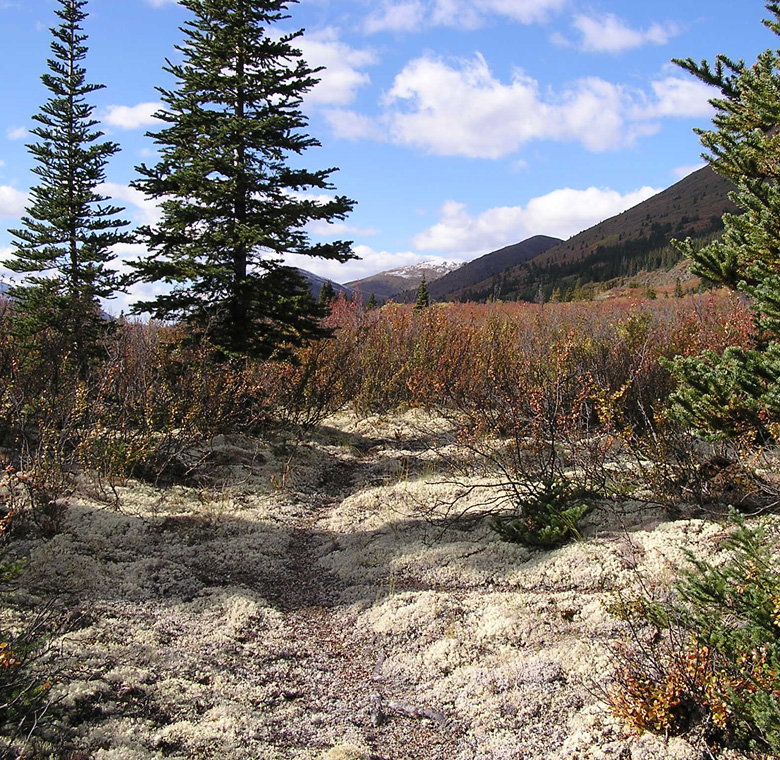 Northern Adventures Hunting Club